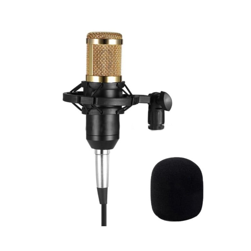 microfon-profesional-de-studio-cu-condensator-reproducere-vocala-naturala-negru-auriu (3)